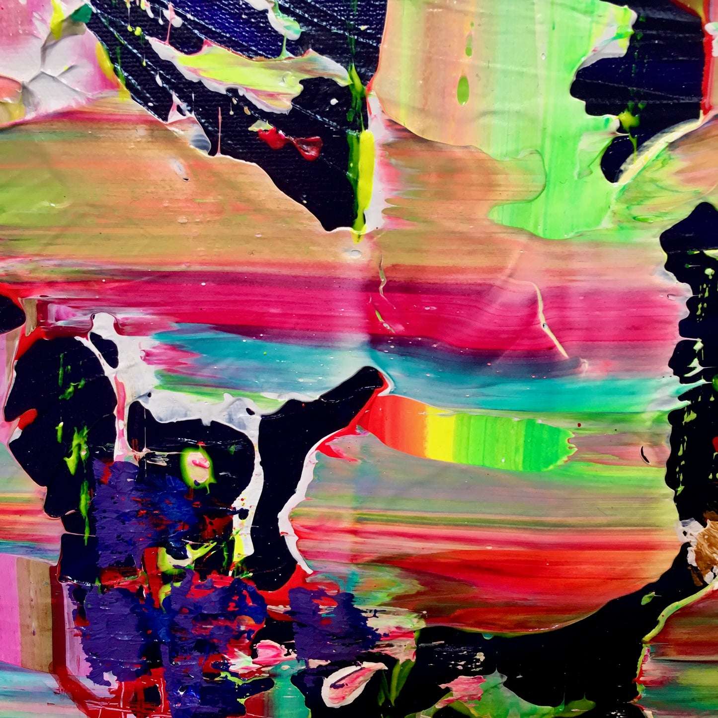 In The Mind Of A Rainbow